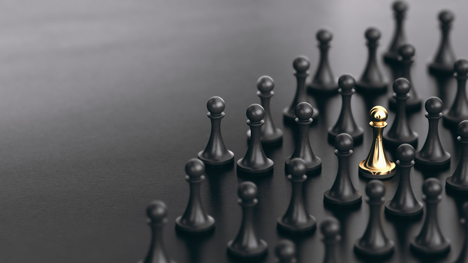 Ganzheitlich gedachte L&ouml;sungen. 